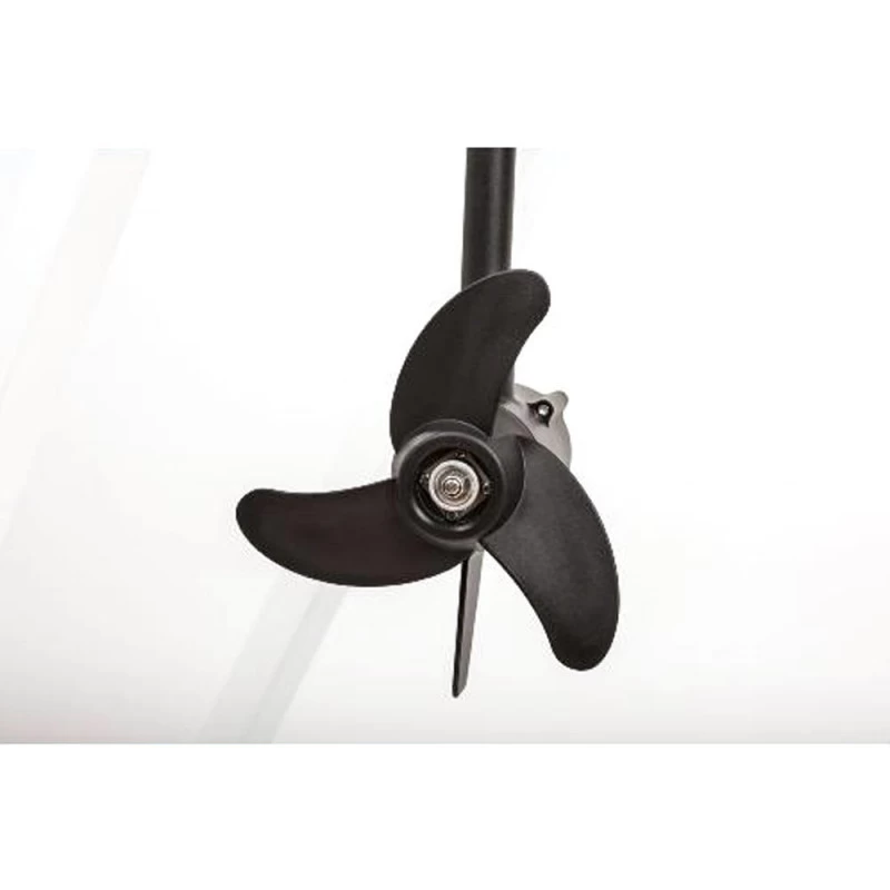 MOTEUR HASWING PROTRUAR 2.0 85 LBS – Image 4