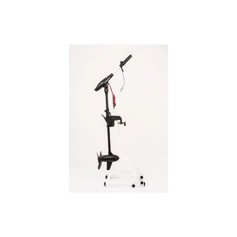 MOTEUR HASWING PROTRUAR-G 3.0 110 LBS – Image 3