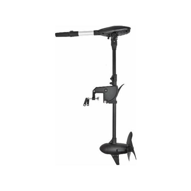 MOTEUR HASWING PROTRUAR-G 3.0 110 LBS